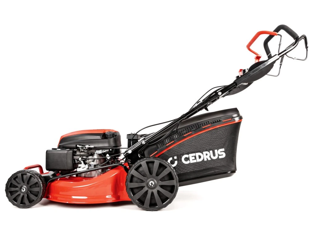 12155-9_cedks53sv-e-2025-10 Cedrus KS53SV-E – Image 1