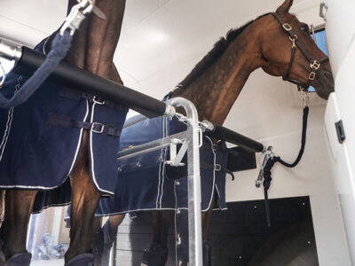 Humbaur Maximus 2700 S - Pferdeanhänger - 2700 kg – Image 7
